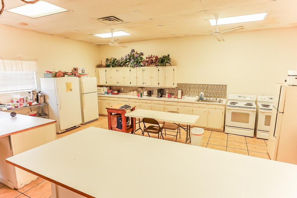 Picture 28