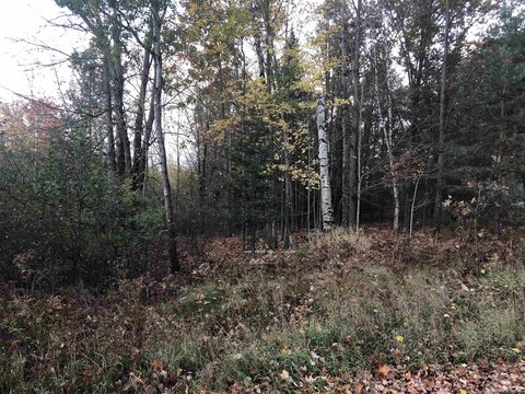VACANT LAND, Lake, MI
