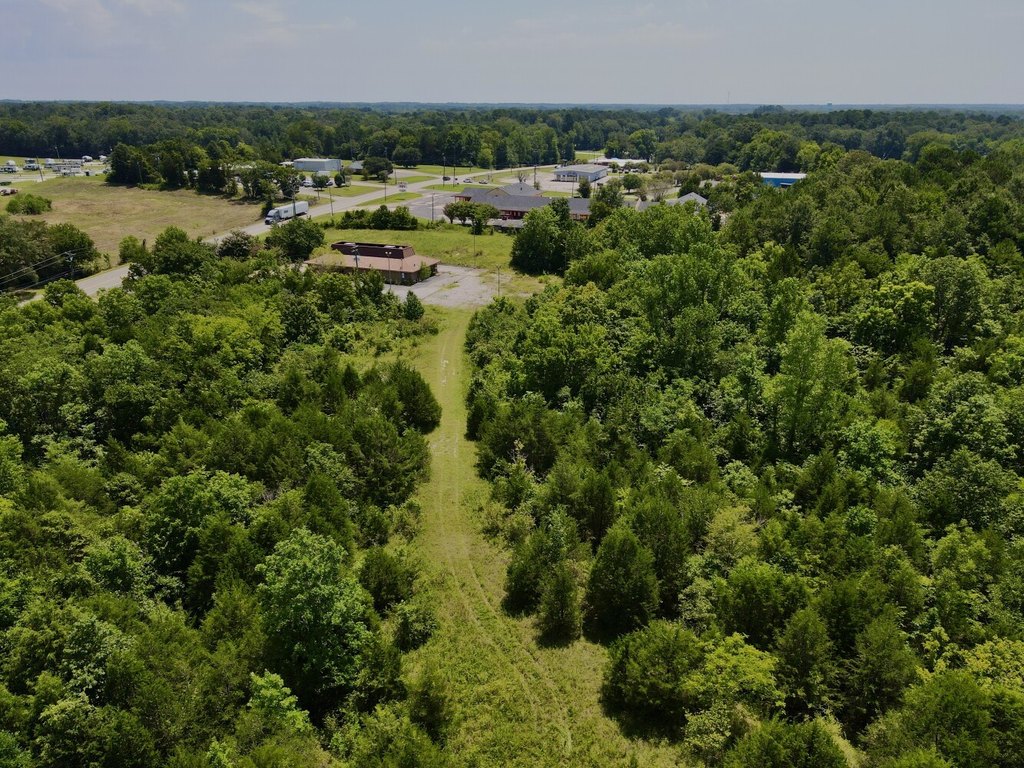 Picture 8
