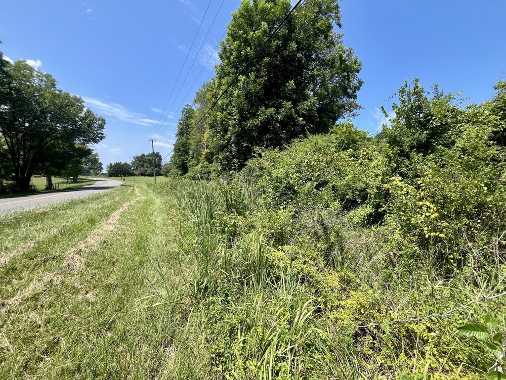 Picture 26