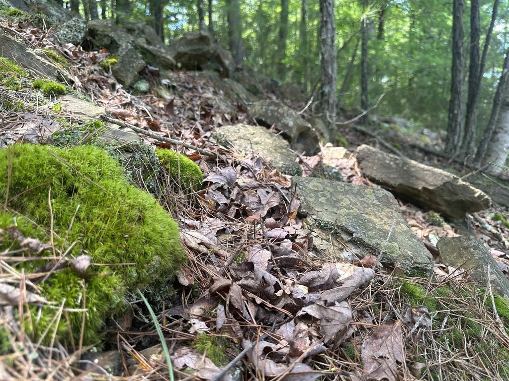 Picture 11