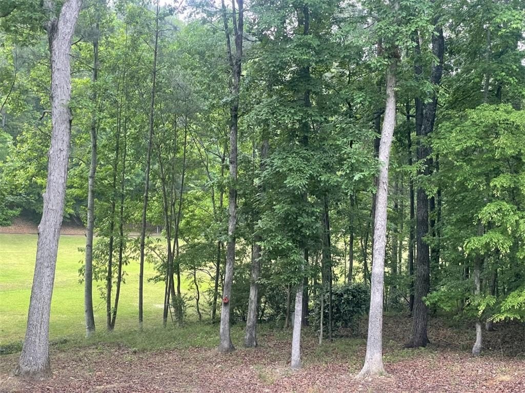 Wooded Lot in StillWaters Resort