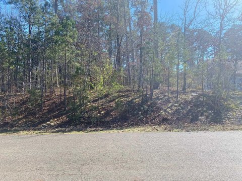 Residential Land in Hot Springs