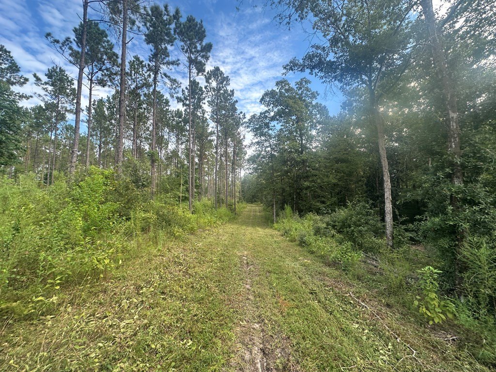 Picture 3