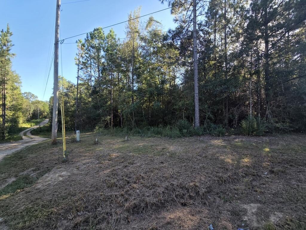 Picture 2
