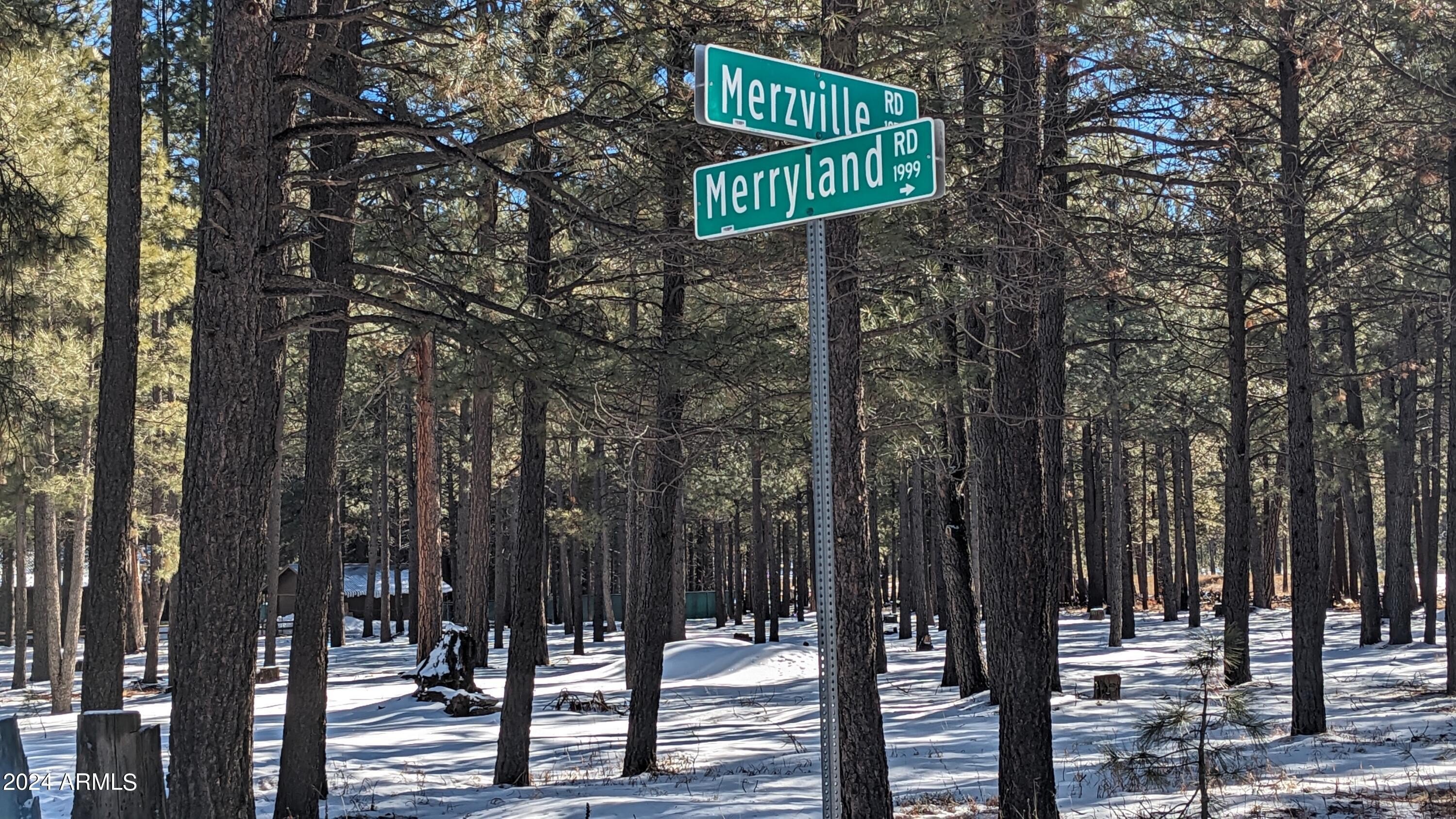 Commercial Lot in Forest Lakes