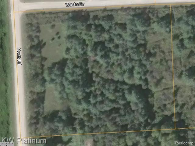 Picture 5