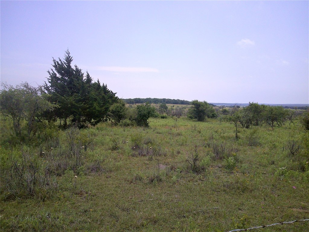 Picture 3