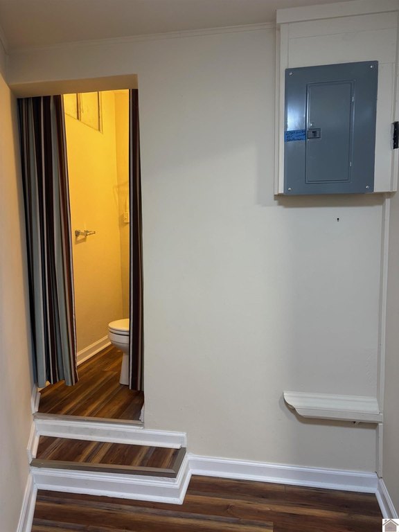 Picture 25