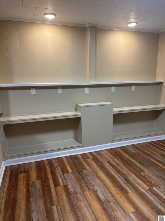 Picture 12