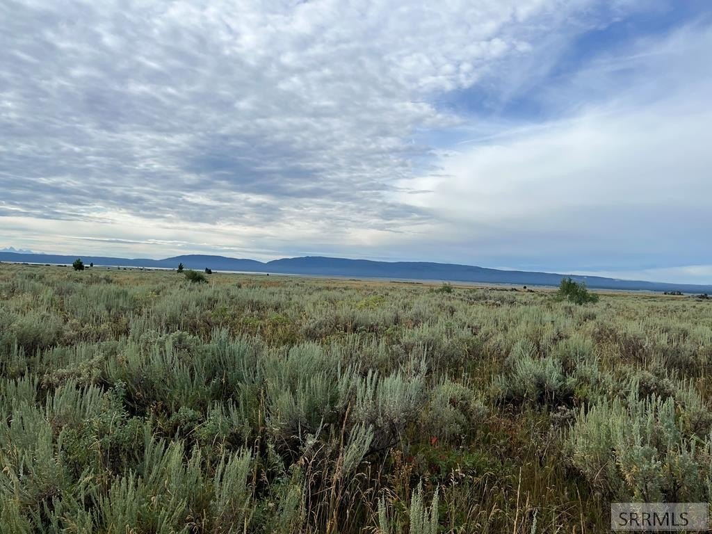 Island Park Building Lot