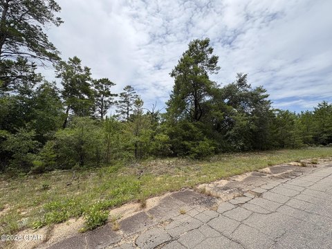 LAND - Chipley, FL