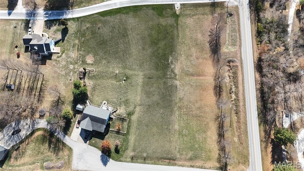 Picture 15
