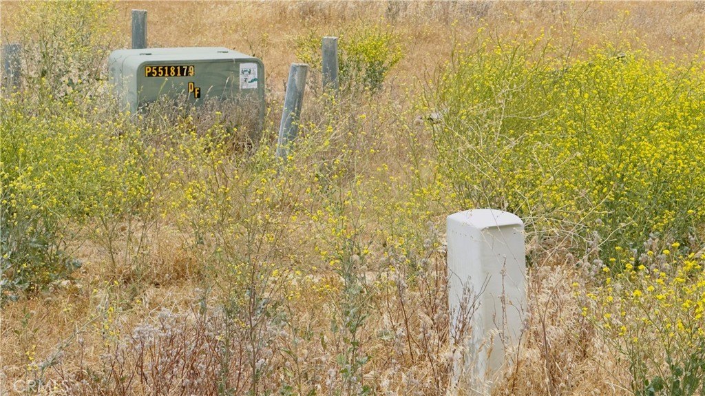 Picture 7