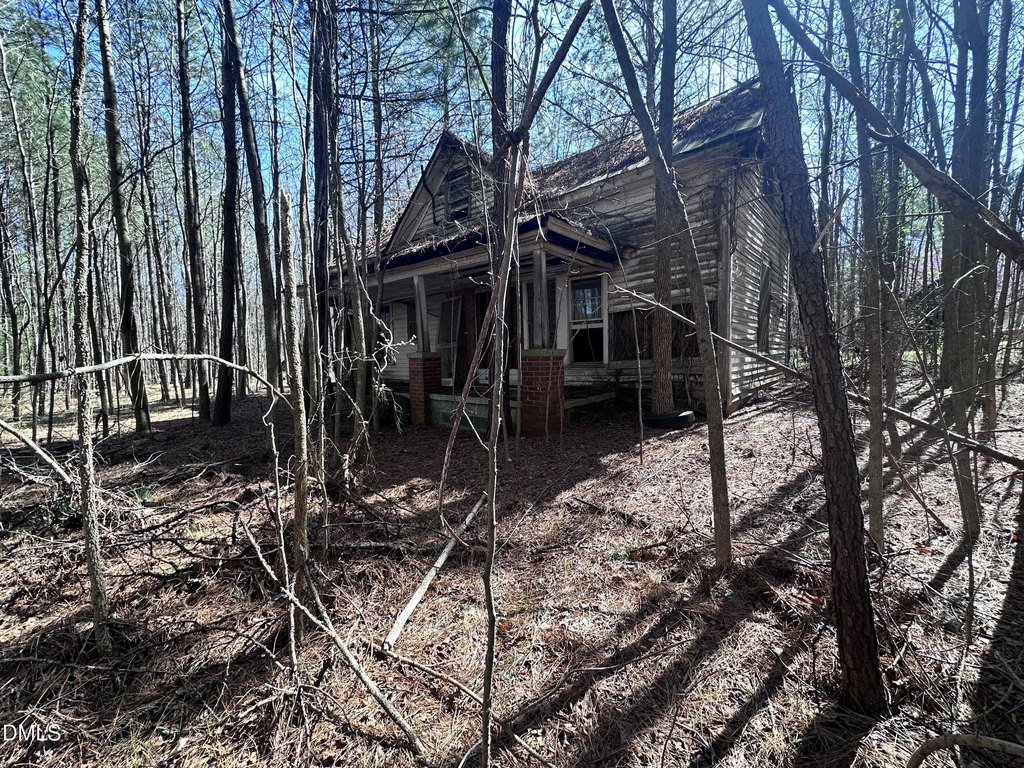Picture 3