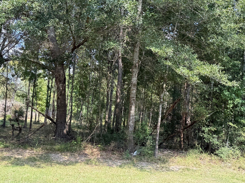 Picture 16