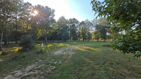 16 Acres in Kirbyville, TX