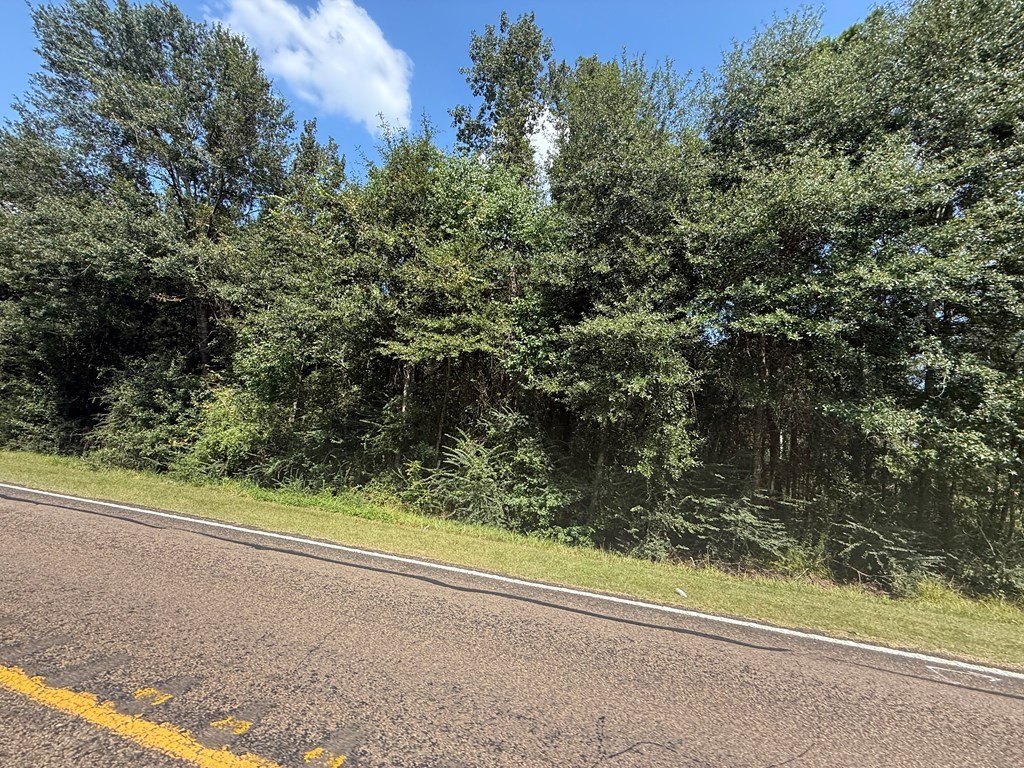 Picture 23