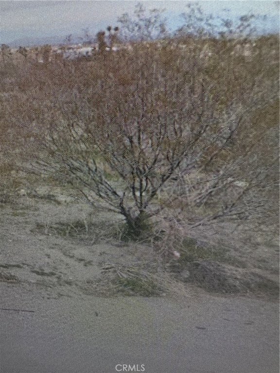 Picture 2