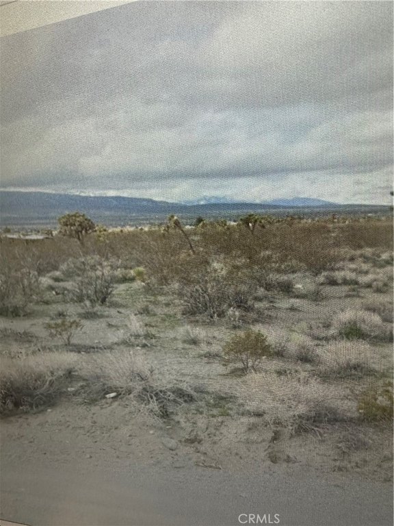 Picture 3