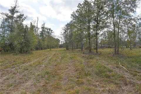 Residential Land in Livingston, LA