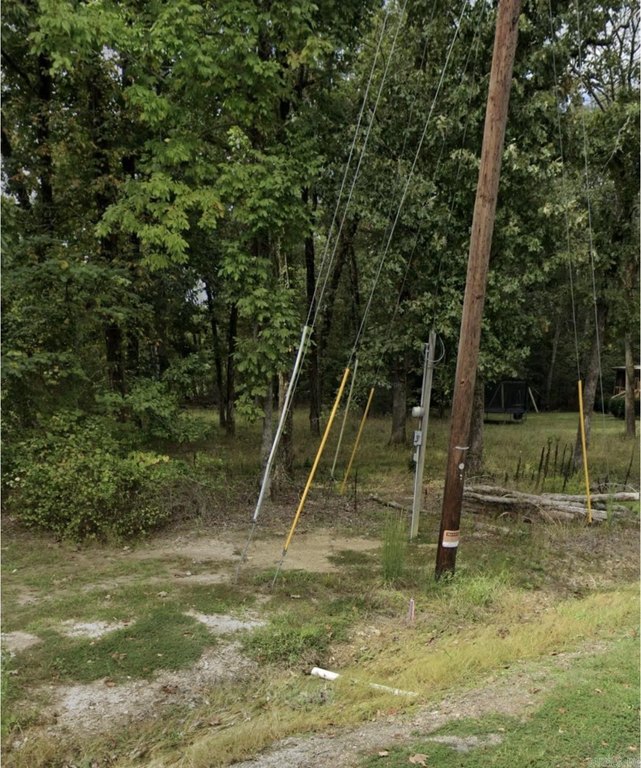 Picture 3