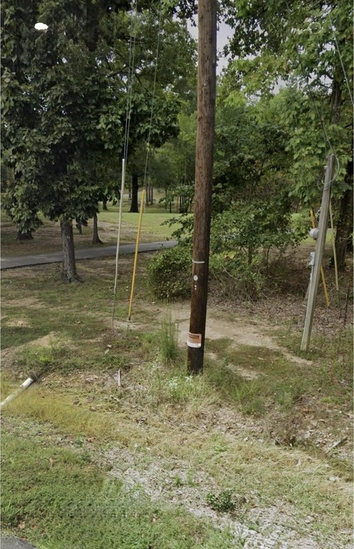 Picture 7