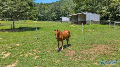 Scottsboro Horse Farm on 22 Acres