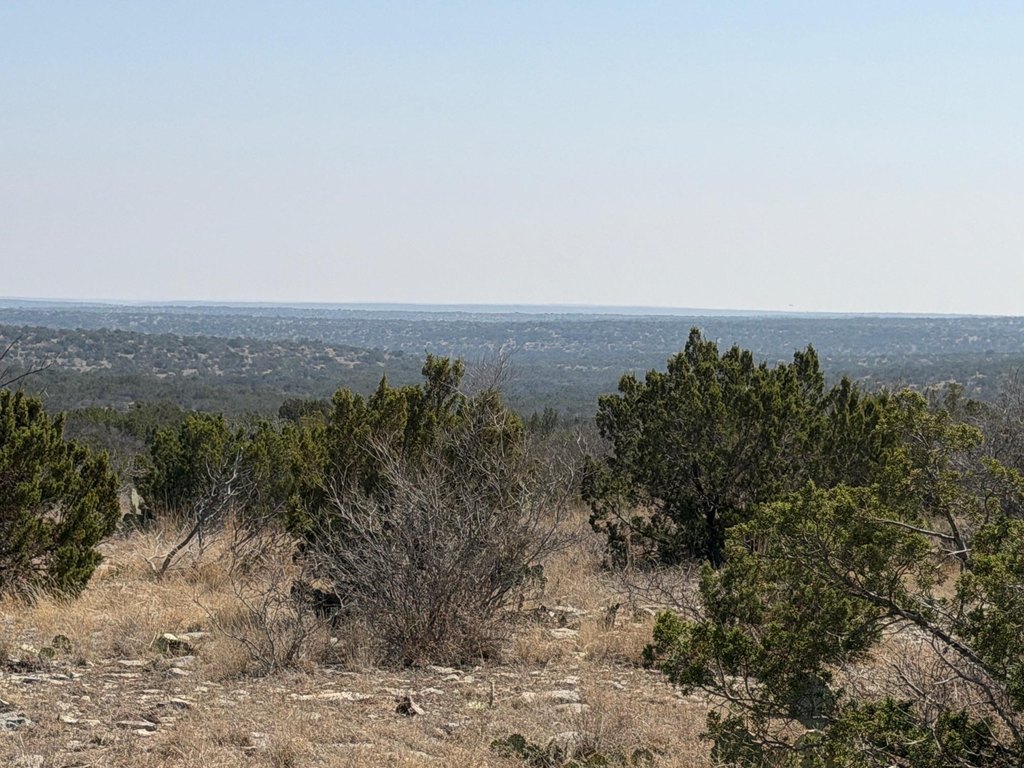 Picture 36