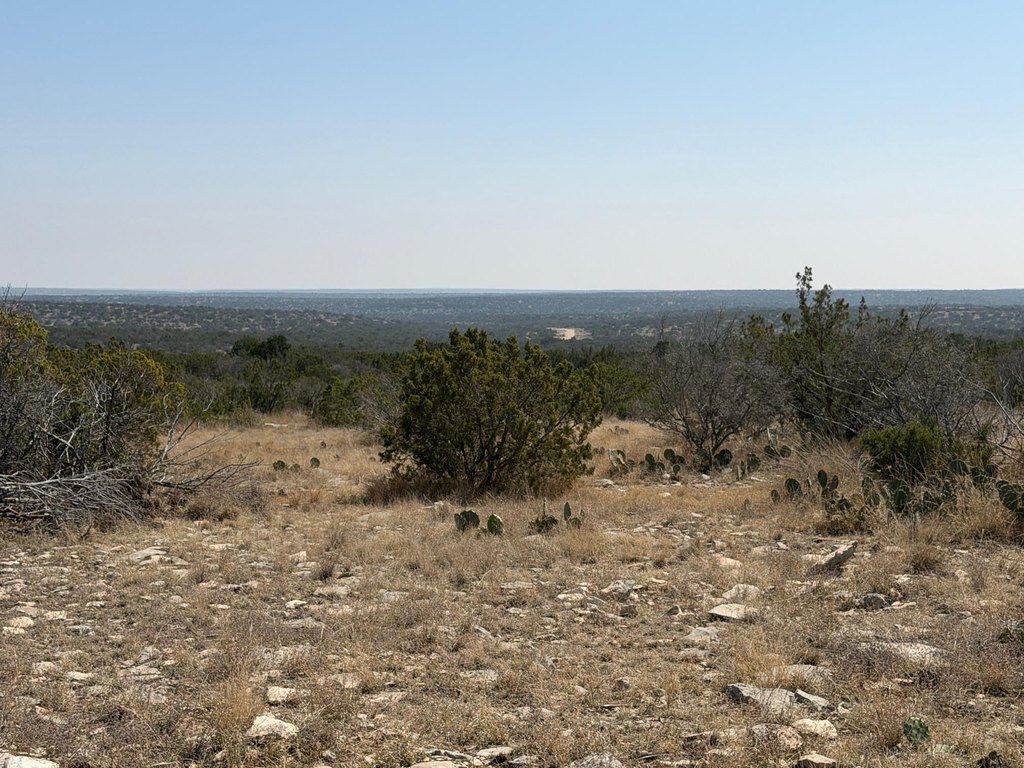Picture 38