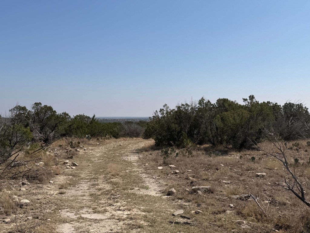 Picture 43