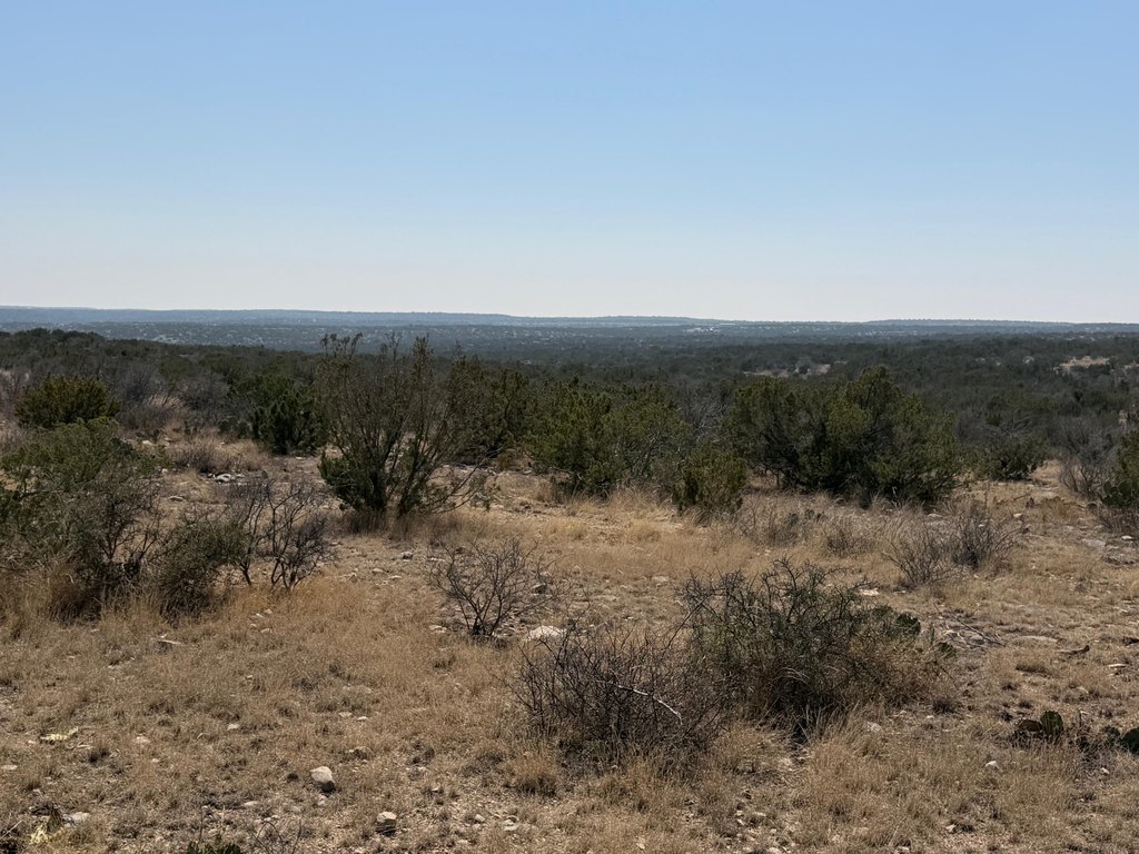 Picture 45