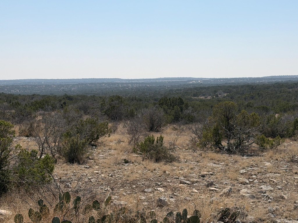 Picture 49