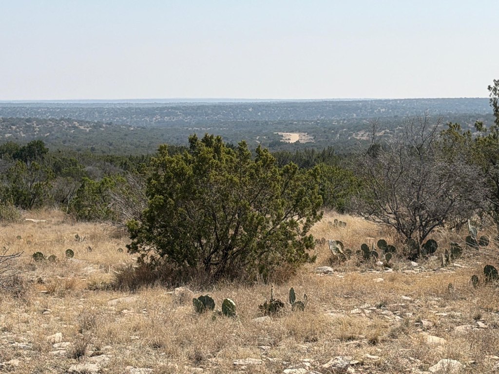 Picture 37
