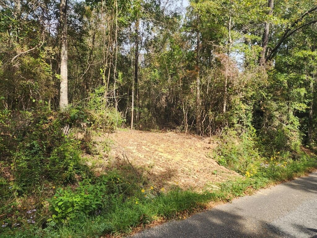 Picture 3
