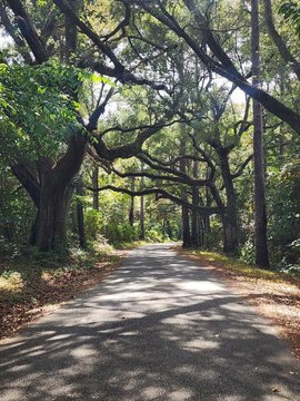 Land in Carriere, Mississippi