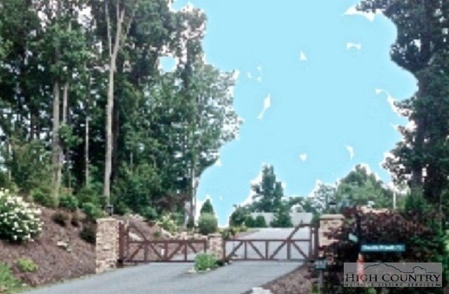 Picture 13