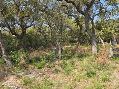 Residential Lots Near Tule Park