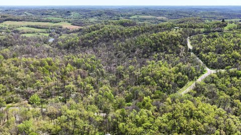 Timber and Open Huntable Acreage