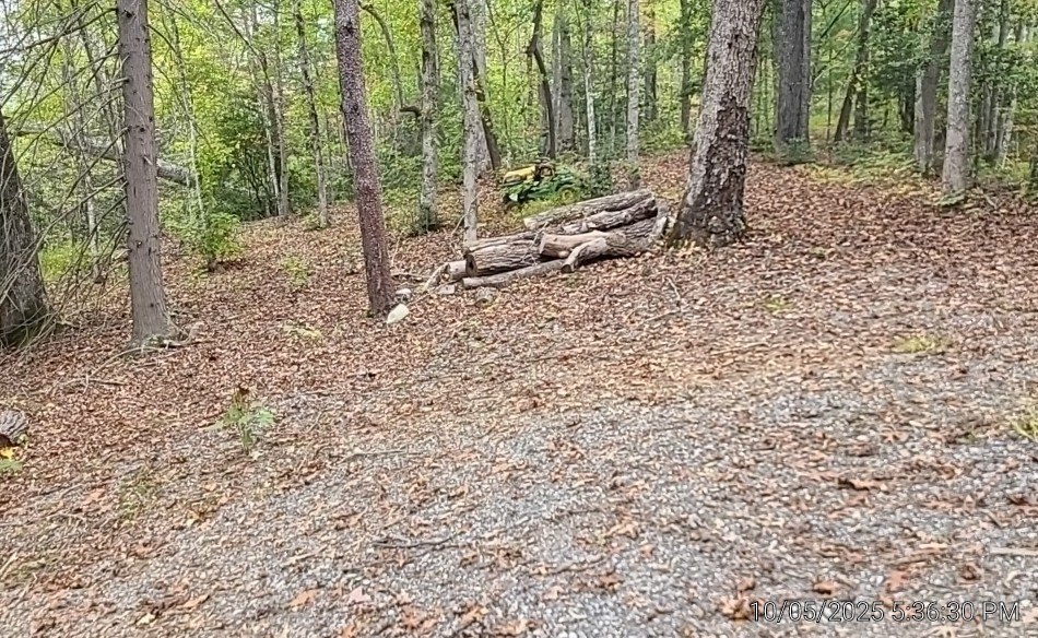 Picture 7