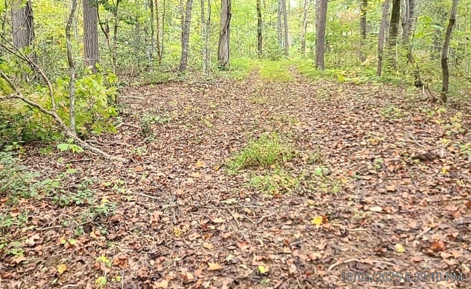 Picture 4