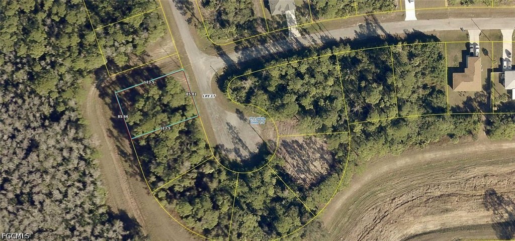 Picture 3