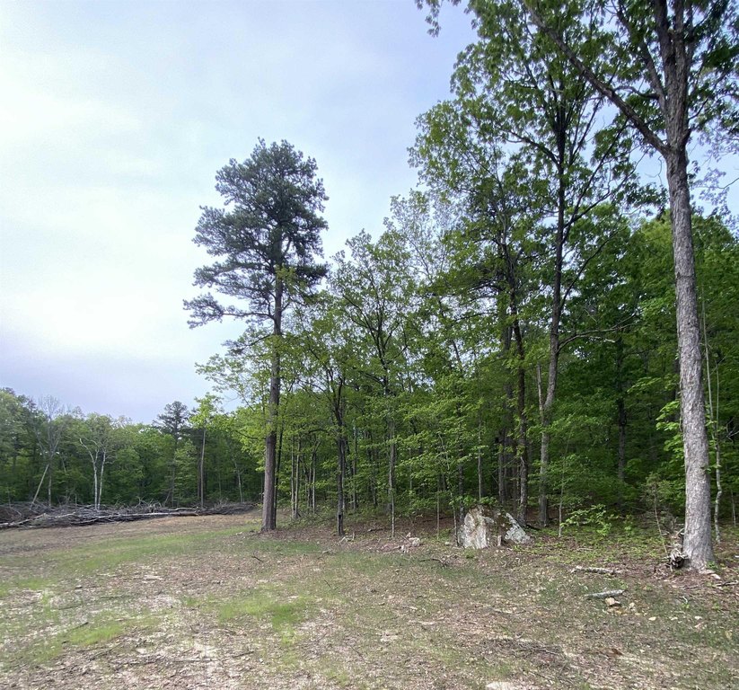 Picture 14