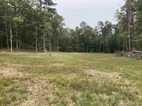 Secluded Wooded Land Near Marshall
