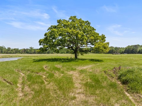 Unrestricted Land with Pond