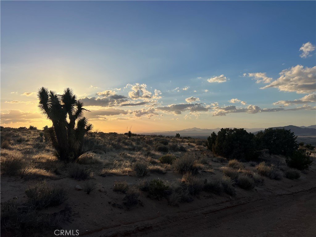 Apple Valley Land with Utilities