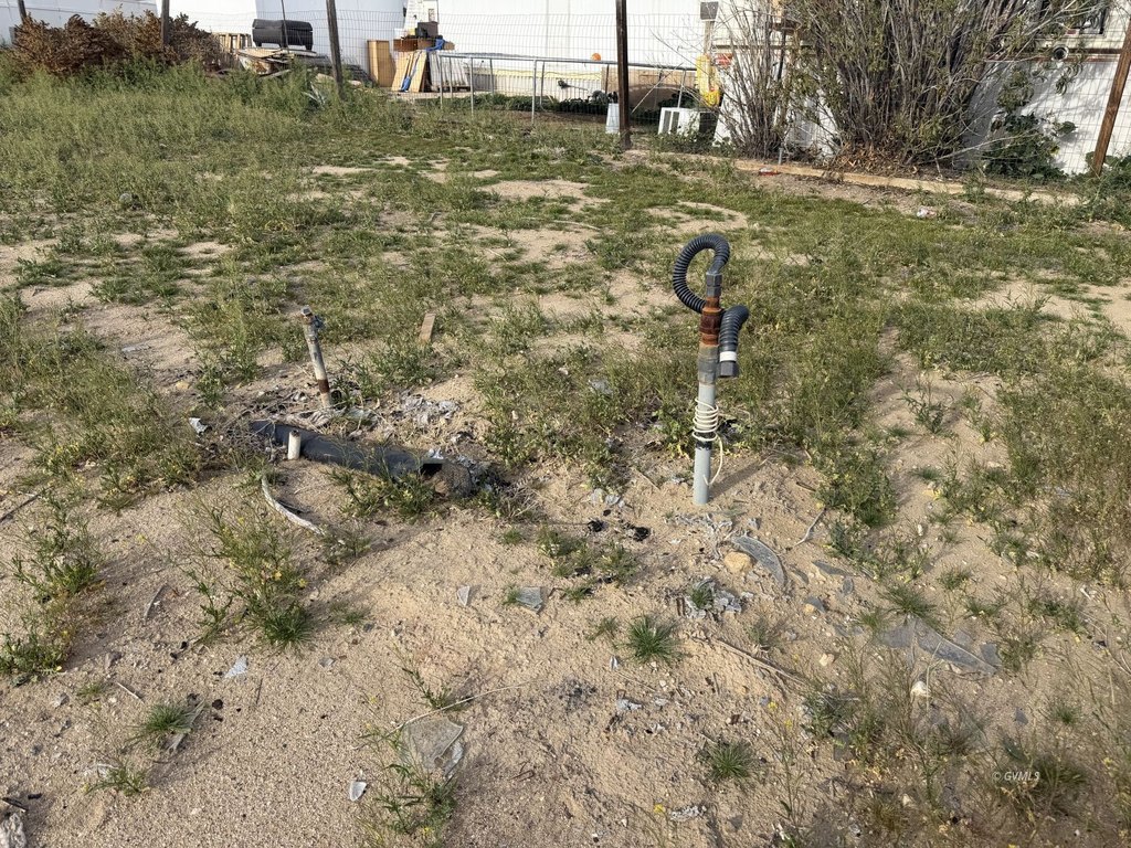 Picture 5