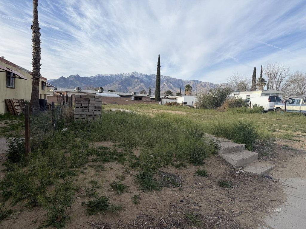 Picture 3
