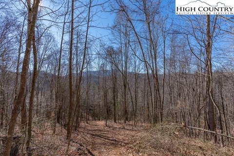 50 Acres with River Views