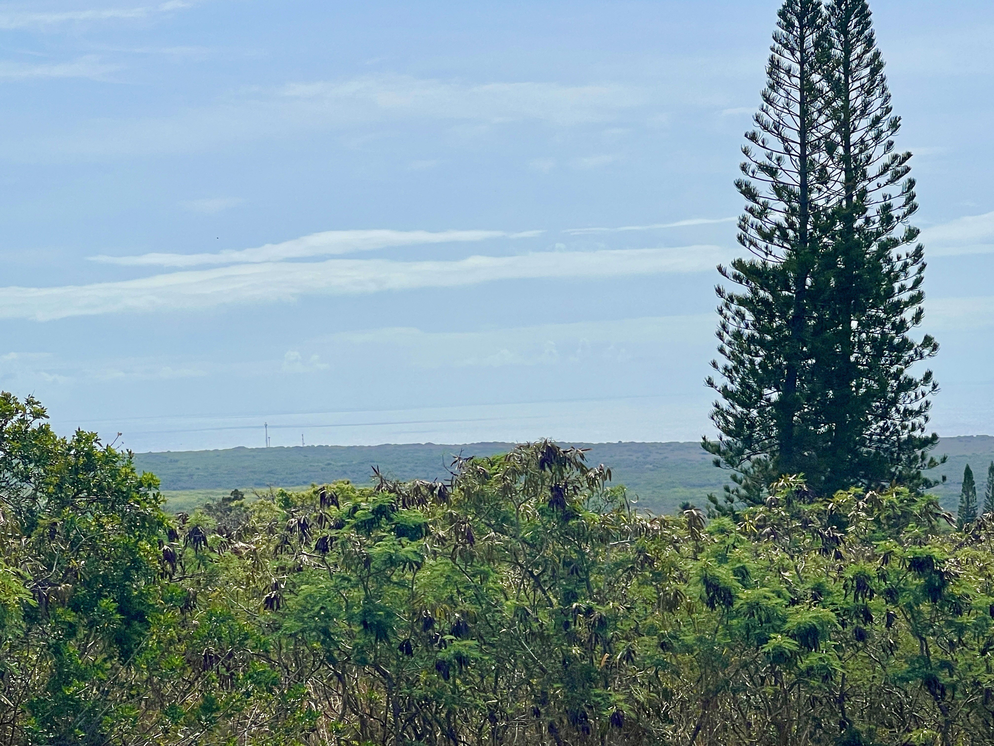 Ocean View Golf Course Lot